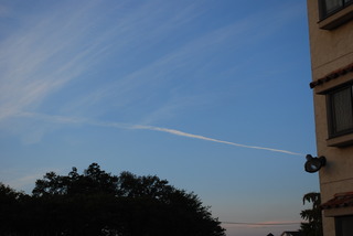 DSC_0039.jpg